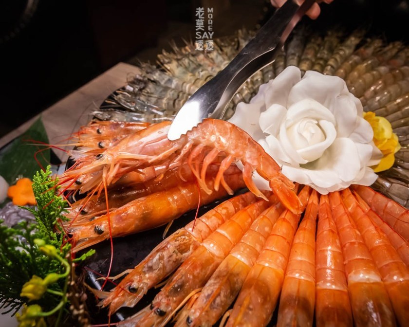 天使紅蝦 天使紅蝦