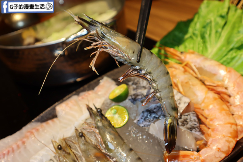 新莊囍富火鍋.中港路火鍋.囍富鍋吧.必吃火鍋.胡椒雞湯