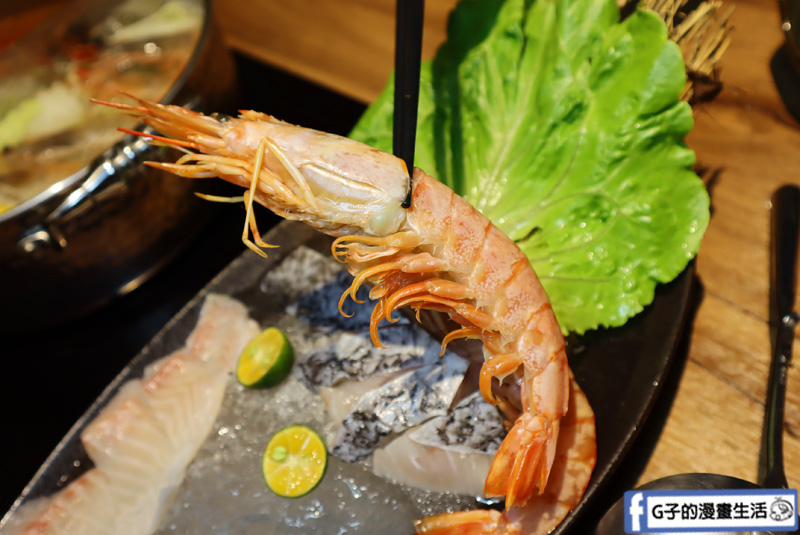 新莊囍富火鍋.中港路火鍋.囍富鍋吧.必吃火鍋.胡椒雞湯