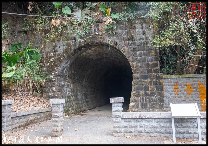 2020年最新景點搶先看|雙龍七彩吊橋.好似一抹微笑的彩虹 - 假日農夫愛趴趴照