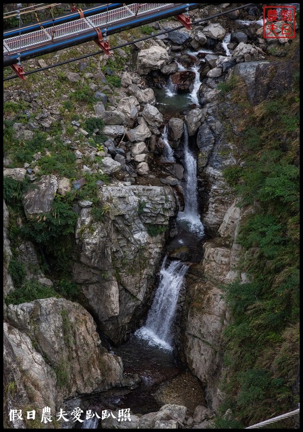 2020年最新景點搶先看|雙龍七彩吊橋.好似一抹微笑的彩虹 - 假日農夫愛趴趴照