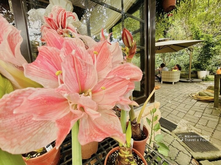 美麗繽紛的花叢,陶醉浪漫的氛圍,Emmie的南法玫瑰園 - 魚兒 x 牽手明太子的「視」界旅行