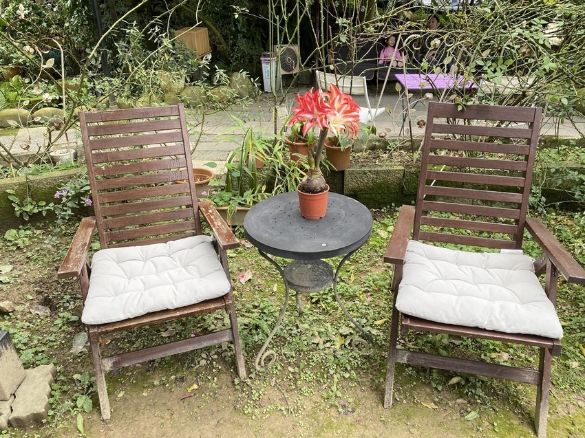 IMG_9570 - 複製.JPG