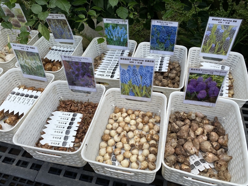 IMG_9542 - 複製.JPG