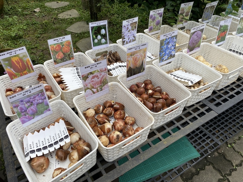 IMG_9544 - 複製.JPG