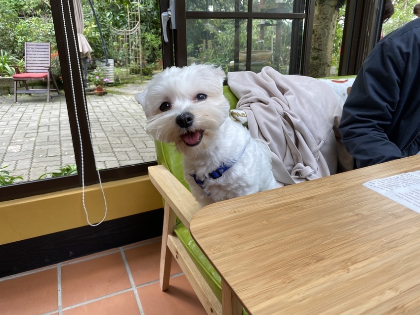 IMG_9557 - 複製.JPG