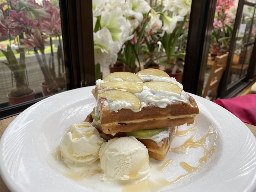 IMG_9587 - 複製.JPG