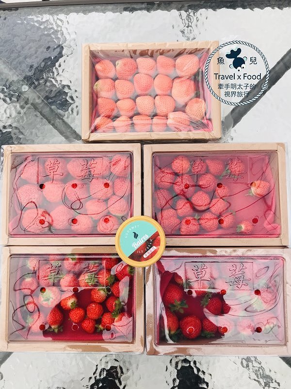 【春採莓夏賞荷】林家古厝 DIY、抓週、窯燒、找樂子;草菓農場採無農藥溫室草莓,親子一同放電去! @魚兒 x 牽手明太子的「視」界旅行