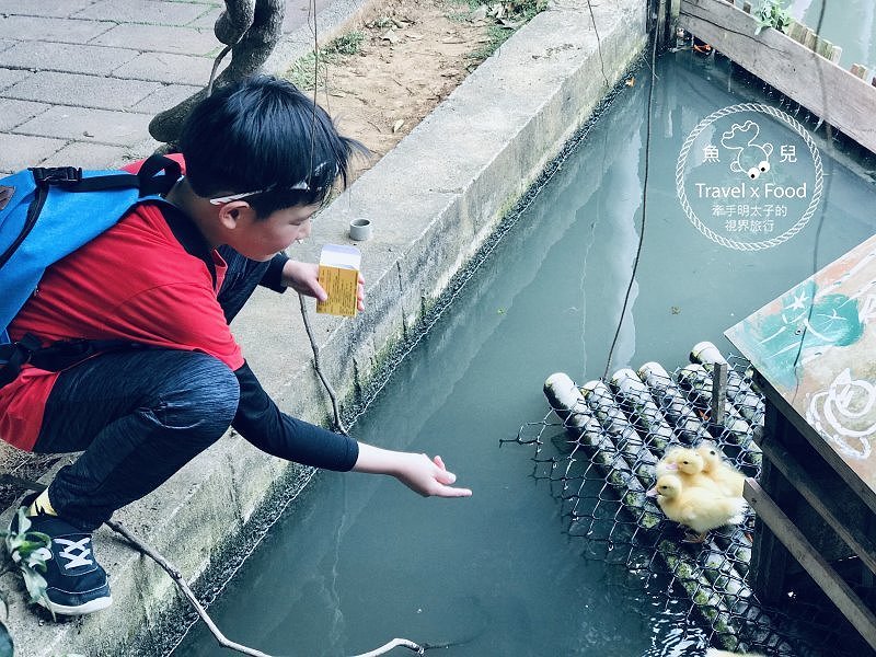 【春採莓夏賞荷】林家古厝 DIY、抓週、窯燒、找樂子;草菓農場採無農藥溫室草莓,親子一同放電去! @魚兒 x 牽手明太子的「視」界旅行