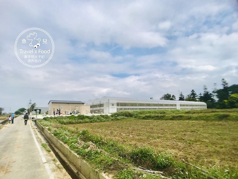 【春採莓夏賞荷】林家古厝 DIY、抓週、窯燒、找樂子;草菓農場採無農藥溫室草莓,親子一同放電去! @魚兒 x 牽手明太子的「視」界旅行