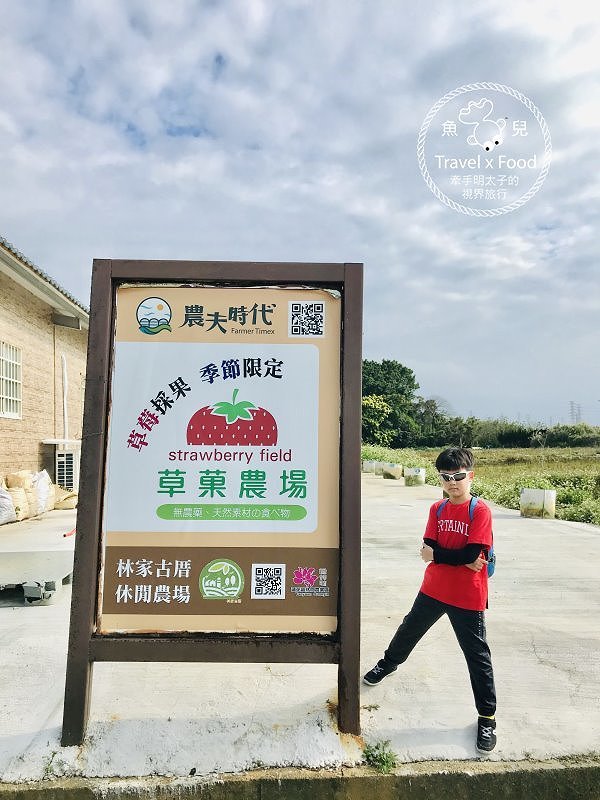 【春採莓夏賞荷】林家古厝 DIY、抓週、窯燒、找樂子;草菓農場採無農藥溫室草莓,親子一同放電去! @魚兒 x 牽手明太子的「視」界旅行