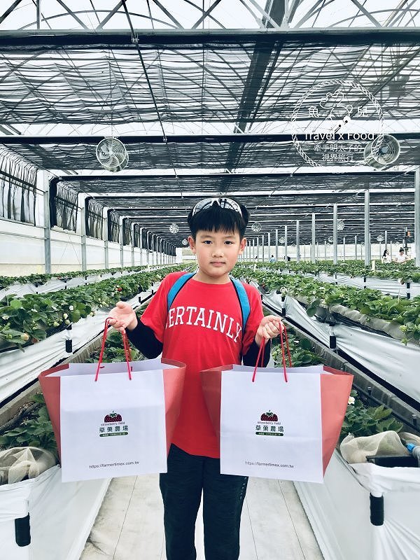 【春採莓夏賞荷】林家古厝 DIY、抓週、窯燒、找樂子;草菓農場採無農藥溫室草莓,親子一同放電去! @魚兒 x 牽手明太子的「視」界旅行