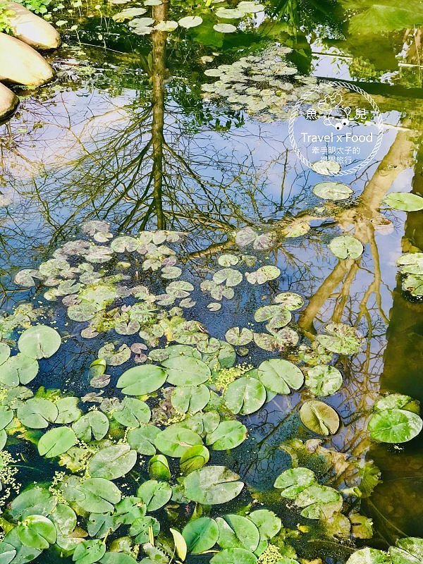 【春採莓夏賞荷】林家古厝 DIY、抓週、窯燒、找樂子;草菓農場採無農藥溫室草莓,親子一同放電去! @魚兒 x 牽手明太子的「視」界旅行