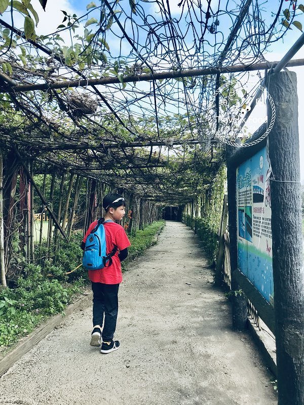 【春採莓夏賞荷】林家古厝 DIY、抓週、窯燒、找樂子;草菓農場採無農藥溫室草莓,親子一同放電去! @魚兒 x 牽手明太子的「視」界旅行