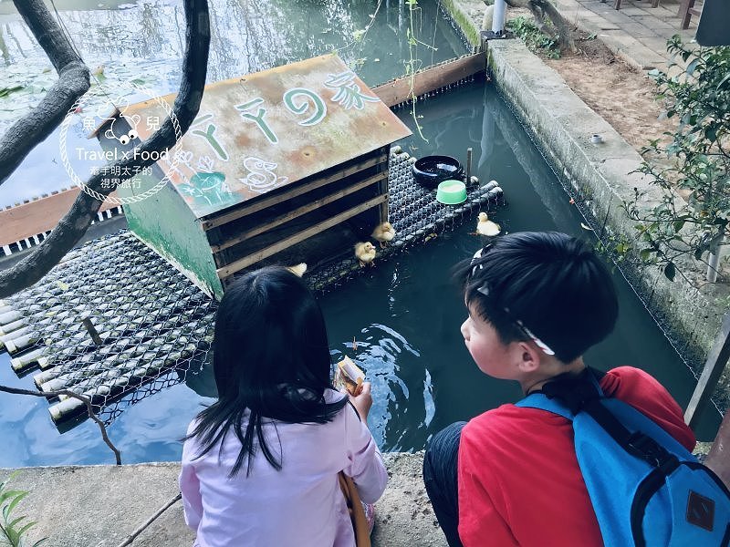 【春採莓夏賞荷】林家古厝 DIY、抓週、窯燒、找樂子;草菓農場採無農藥溫室草莓,親子一同放電去! @魚兒 x 牽手明太子的「視」界旅行