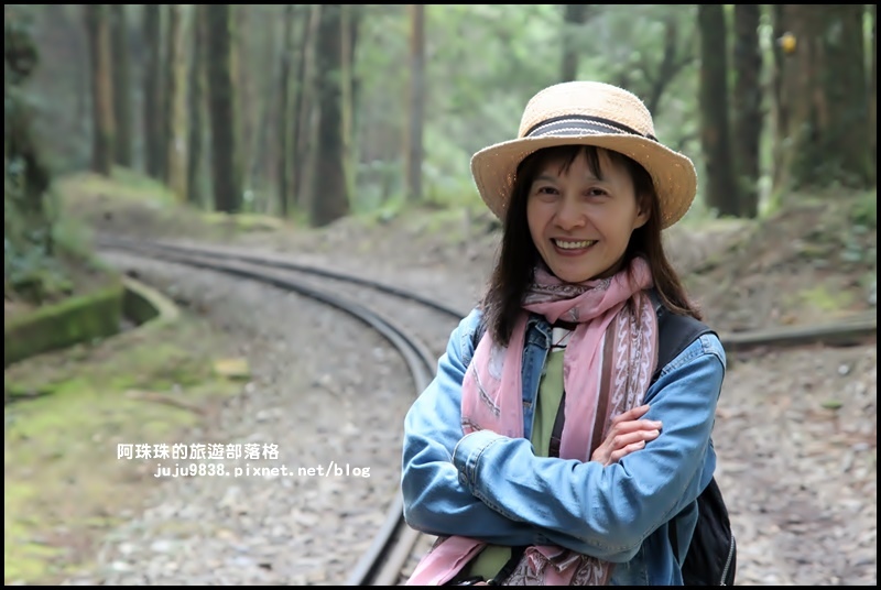 阿里山眠月線43.JPG