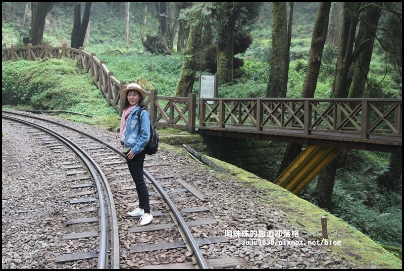 阿里山眠月線6.JPG