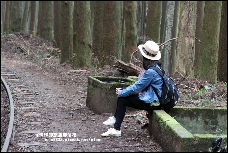 阿里山眠月線37.JPG
