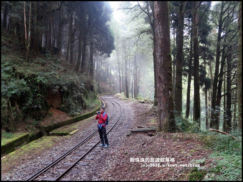 阿里山眠月線66.JPG