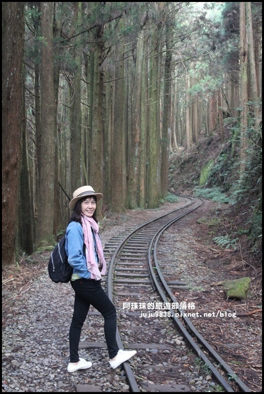 阿里山眠月線15.JPG