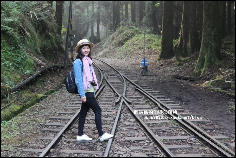 阿里山眠月線12.JPG