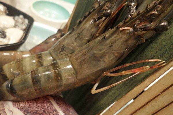 美食 ░ jhujian築間幸福鍋物 高雄大立店,豐富新鮮的海鮮和高CP值性價比,吃火鍋看夜景-高雄質感火鍋推薦_21.jpg 美食 ░ jhujian築間幸福鍋物 高雄大立店,豐富新鮮的海鮮和高CP值性價比,吃火鍋看夜景-高雄質感火鍋推薦_21.jpg