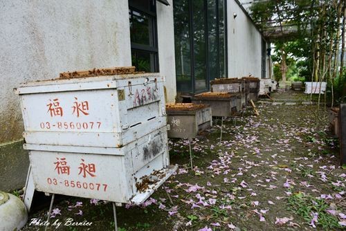 1025 1-創意生活遊20.jpg