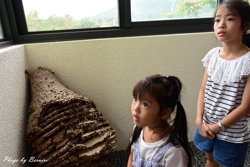 1025 2-蜂之鄉09.jpg