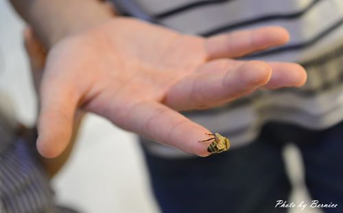 1025 1-創意生活遊17.jpg