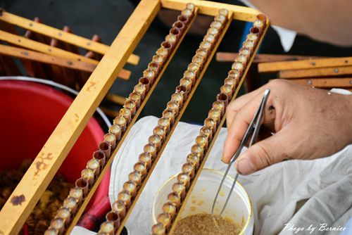 1025 2-蜂之鄉06.jpg