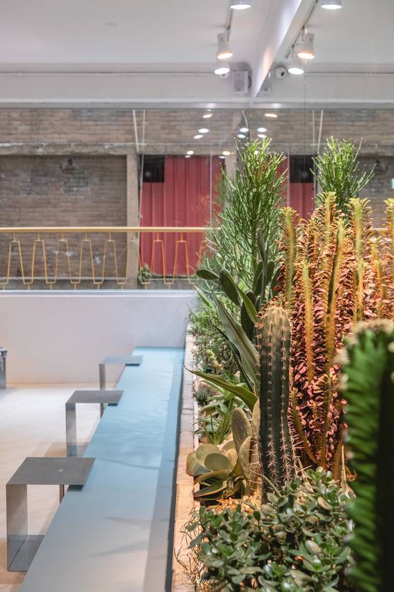 台北萬華｜Cafe tailuu﻿﻿﻿﻿﻿-老城區巷弄裡的靜謐咖啡館