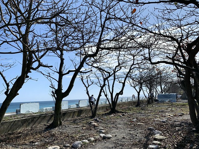 花蓮Pony Cafe｜通往天空的階梯｜海平線的美｜餵食各種小動物｜好玩、好拍的花蓮景點｜附菜單