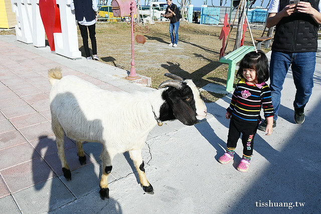 花蓮Pony Cafe｜通往天空的階梯｜海平線的美｜餵食各種小動物｜好玩、好拍的花蓮景點｜附菜單