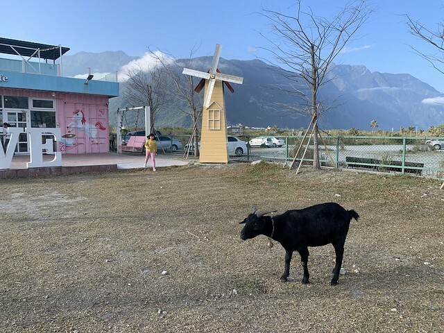 花蓮Pony Cafe｜通往天空的階梯｜海平線的美｜餵食各種小動物｜好玩、好拍的花蓮景點｜附菜單