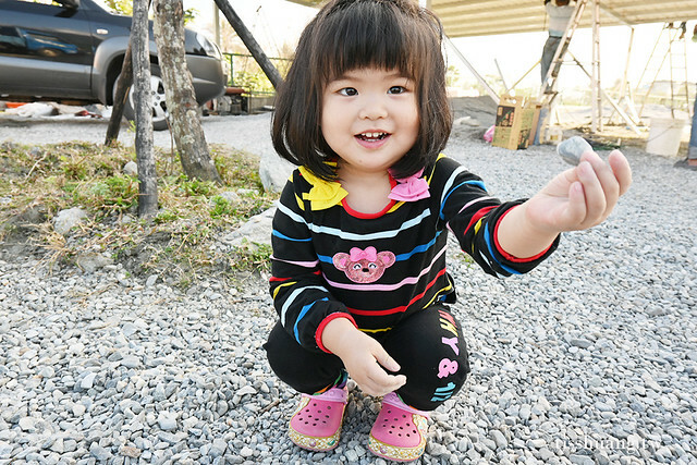 花蓮Pony Cafe｜通往天空的階梯｜海平線的美｜餵食各種小動物｜好玩、好拍的花蓮景點｜附菜單