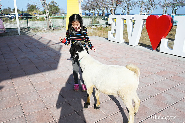 花蓮Pony Cafe｜通往天空的階梯｜海平線的美｜餵食各種小動物｜好玩、好拍的花蓮景點｜附菜單