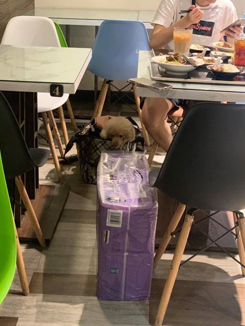 《台北新莊美食》麻麻號 排骨、鴨血、豆腐專賣.香麻度令人滿意(近輔仁大學)