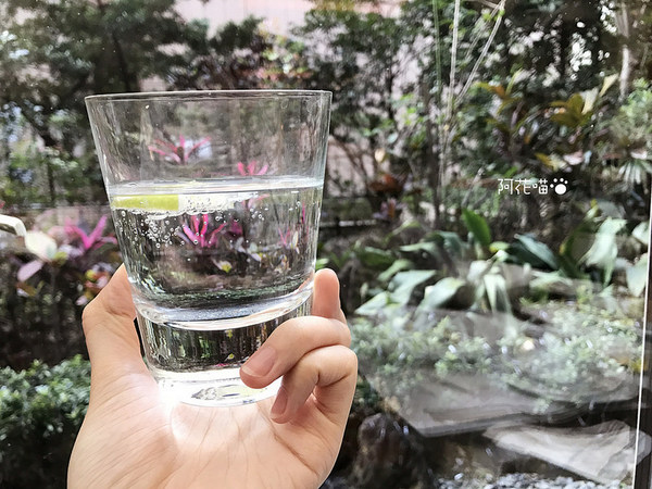 台北西華飯店-Toscana義大利餐廳：【中山國中│乾式熟成牛排】超大天窗玻璃屋，彷彿坐在花園用餐『台北西華飯店-Toscana義大利餐廳』20年的經典義式牛排館，求婚成功率100％的浪漫地點(文末附菜單)