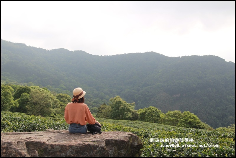 熊空茶園36.JPG