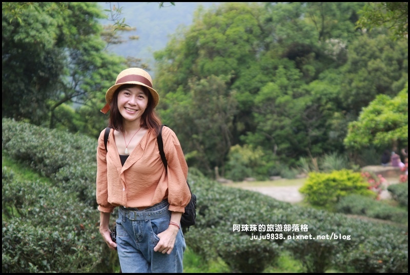 熊空茶園9.JPG