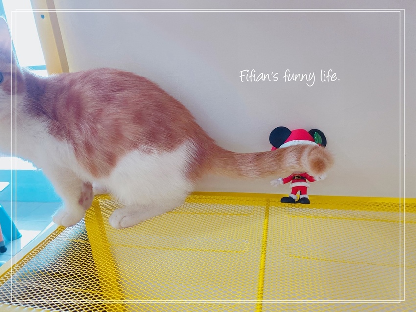 FUNKO POP 收藏公仔 迪士尼聖誕系列 米奇米妮