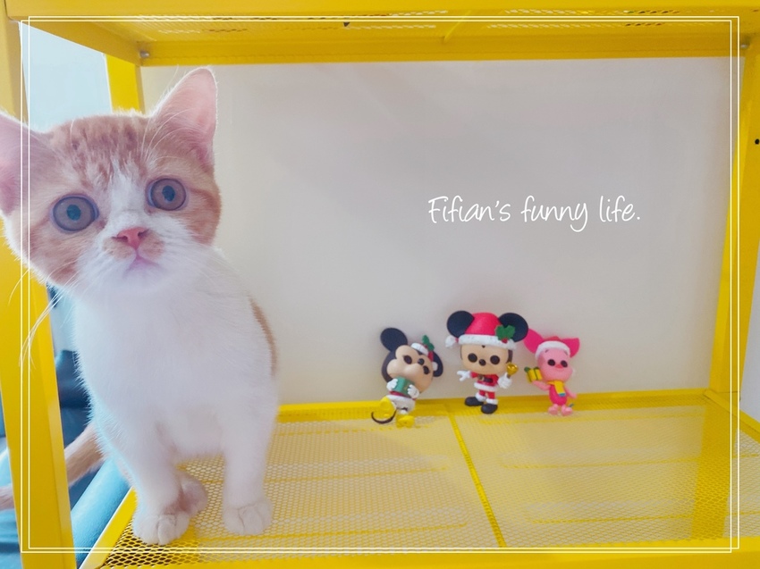 FUNKO POP 收藏公仔 迪士尼聖誕系列 米奇米妮