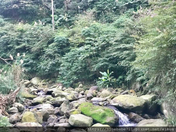 20200212大熊櫻花林_200212_0007.jpg 20200212大熊櫻花林_200212_0007.jpg