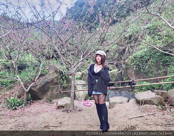 S__27828349.jpg S__27828349.jpg