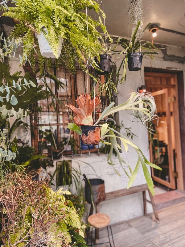 台北中山 | 赤峰街的老宅咖啡廳！來自台南人氣茶飲波哥的「卜卜商店」 - Momoco。毛毛摳