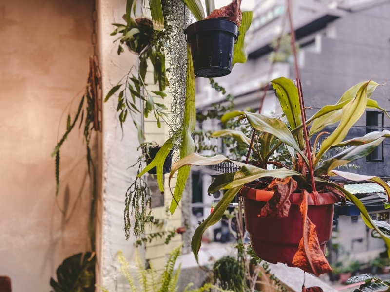 台北中山 | 赤峰街的老宅咖啡廳！來自台南人氣茶飲波哥的「卜卜商店」 - Momoco。毛毛摳