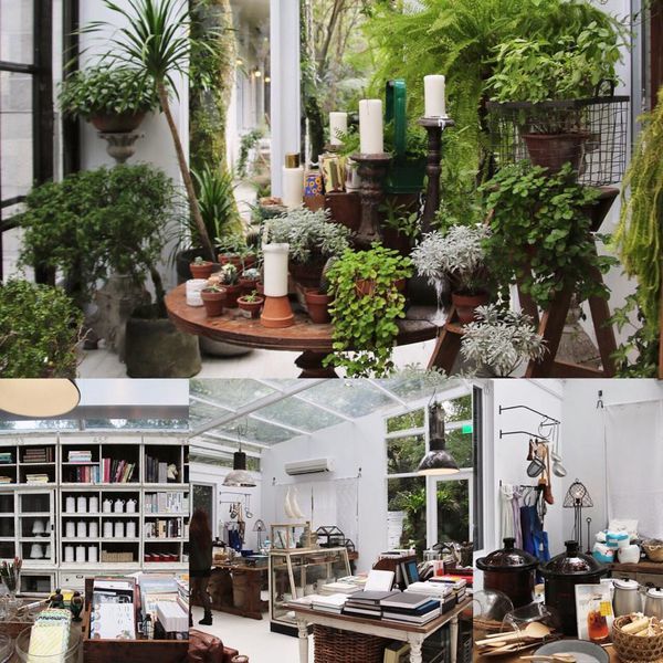 12191406_1119693894715285_7351089839228224022_n