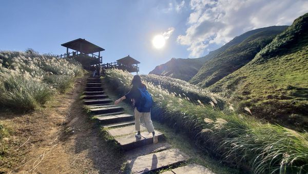 【飛與行的記憶】國內∣新北:草嶺古道芒花季