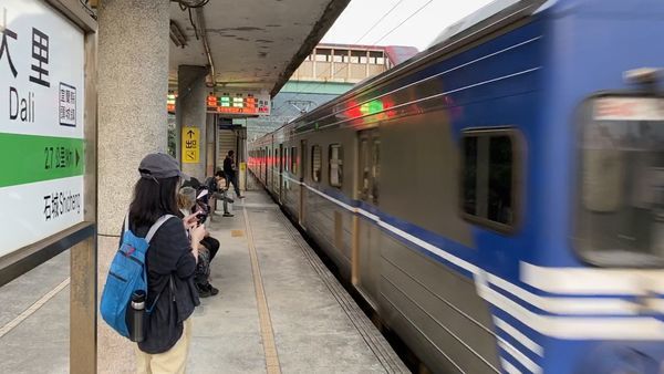 【飛與行的記憶】國內∣新北:草嶺古道芒花季