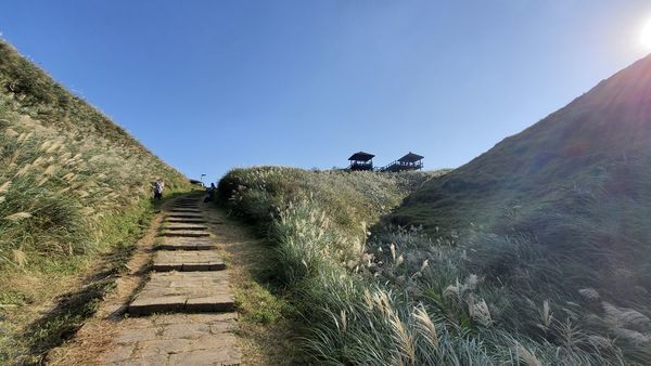 【飛與行的記憶】國內∣新北:草嶺古道芒花季